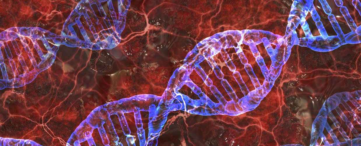 Evolutie over feiten en misvattingen